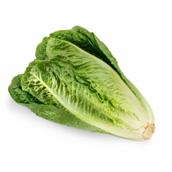 Onion - Image 2
