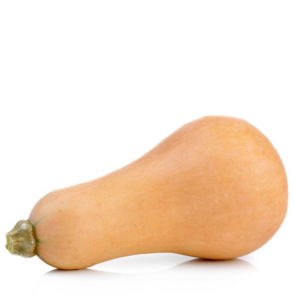 Cantaloupe - Image 3