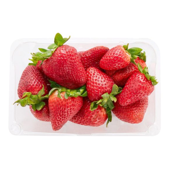 Jumbo - Image 4