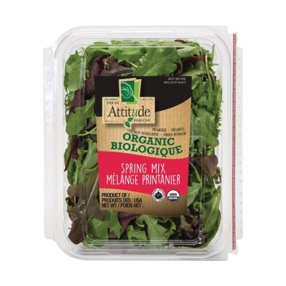 Lettuce - Image 2
